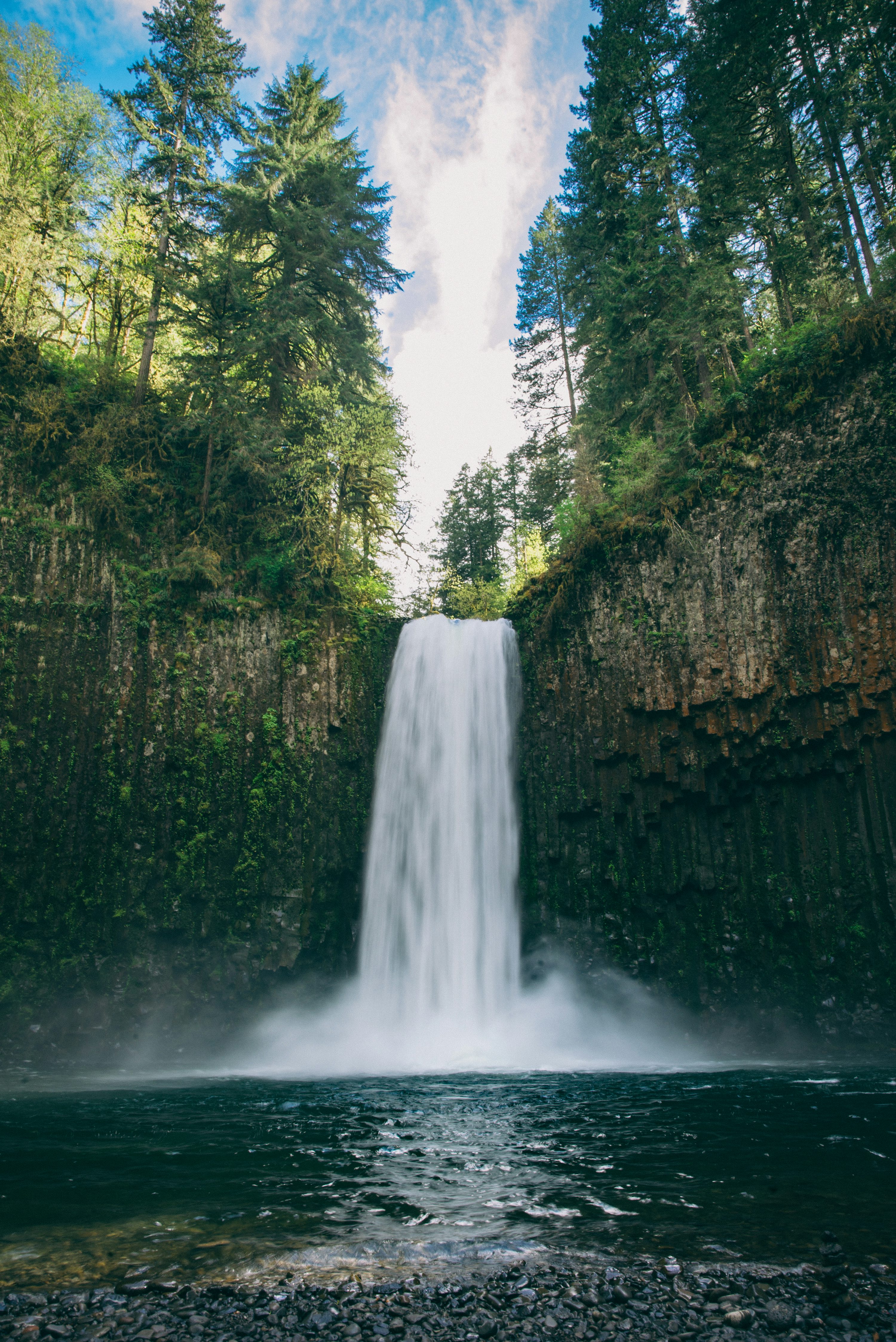 waterfall centered with trees above